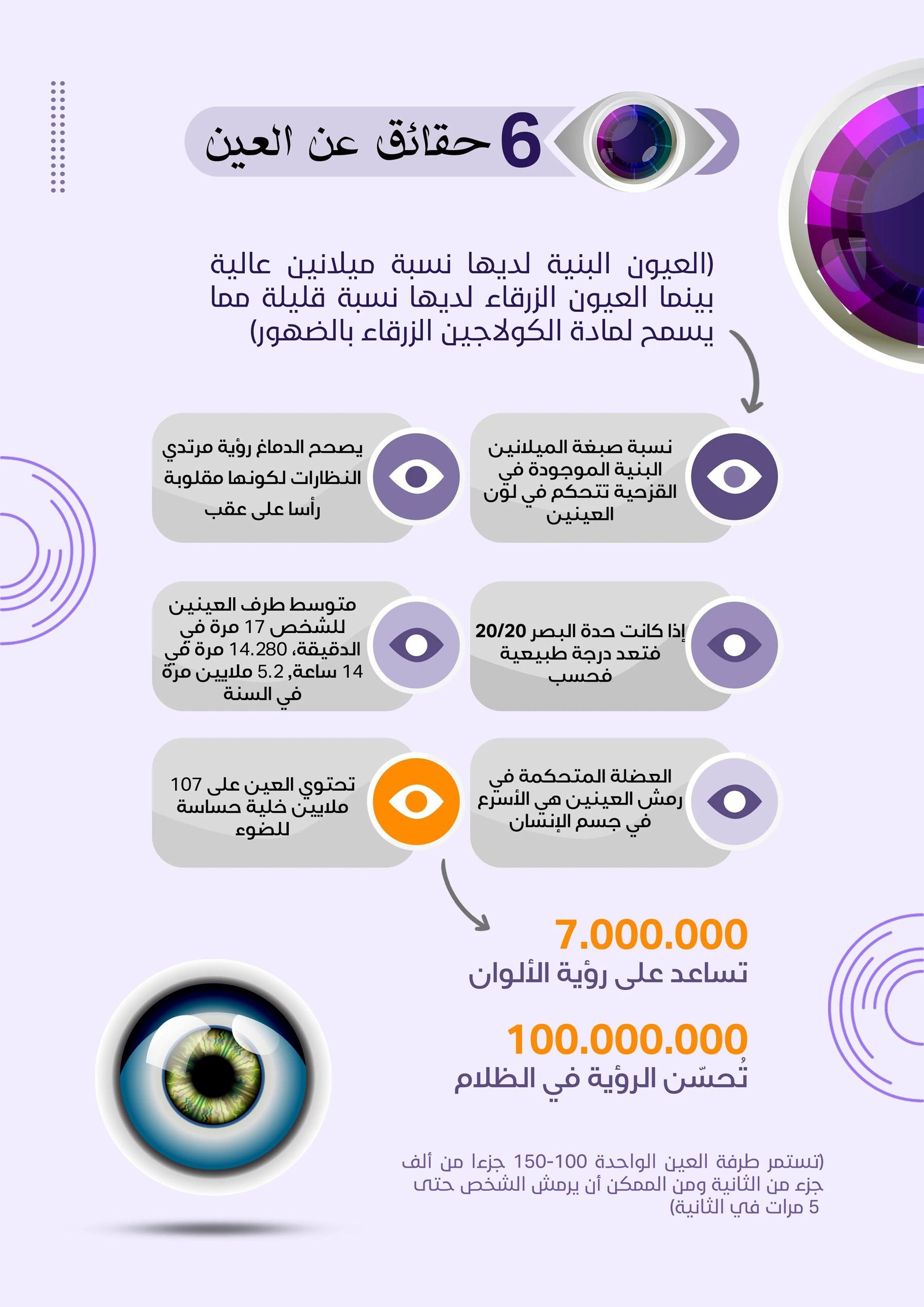 تصميم انفوجرافيك